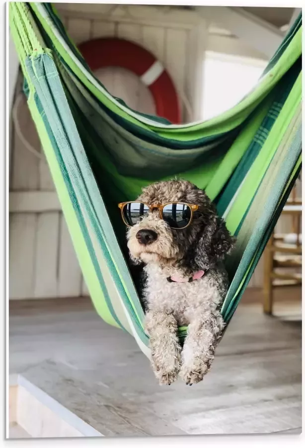WallClassics PVC Schuimplaat- Liggende Hond in Hangmat met Zonnebril 40x60 cm Foto op PVC Schuimplaat