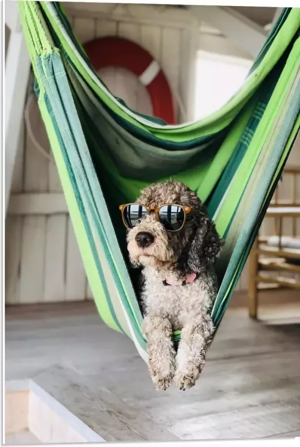 WallClassics PVC Schuimplaat- Liggende Hond in Hangmat met Zonnebril 50x75 cm Foto op PVC Schuimplaat