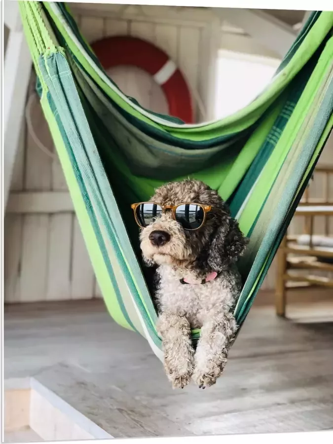 WallClassics PVC Schuimplaat- Liggende Hond in Hangmat met Zonnebril 75x100 cm Foto op PVC Schuimplaat