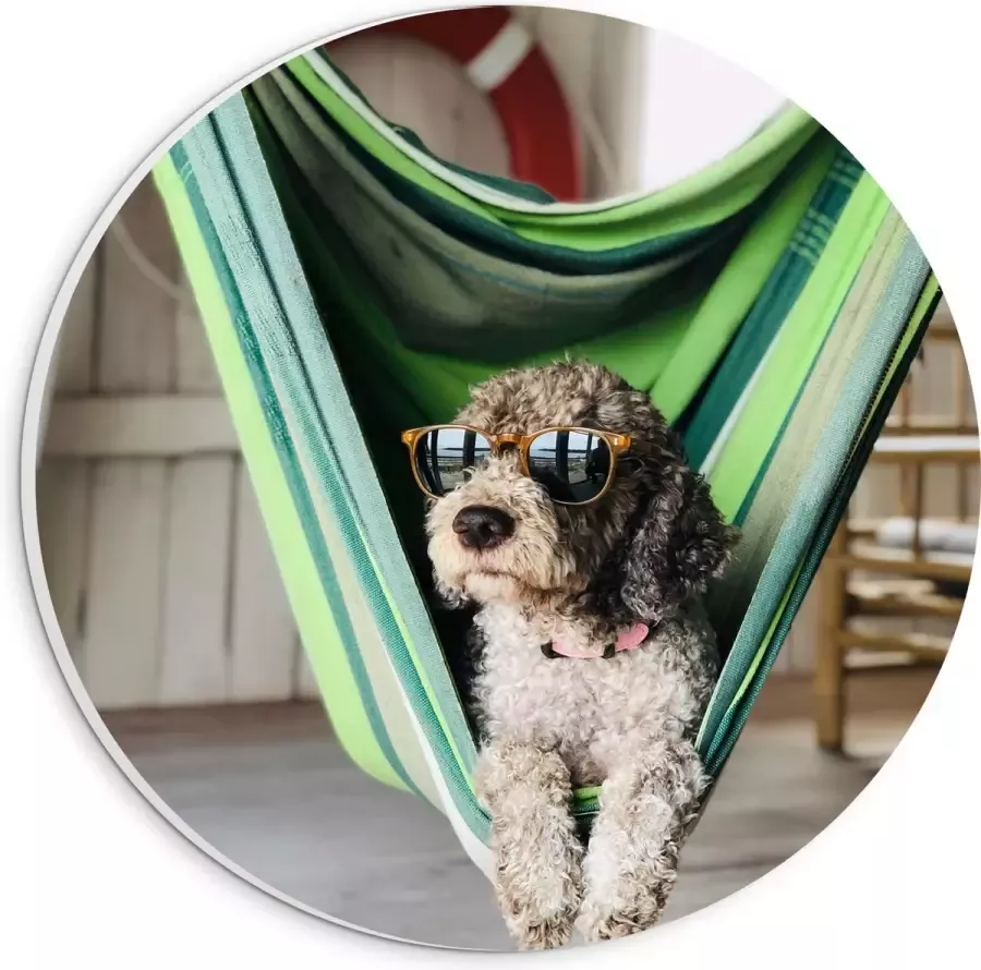 WallClassics PVC Schuimplaat Muurcirkel Liggende Hond in Hangmat met Zonnebril 20x20 cm Foto op Muurcirkel (met ophangsysteem)