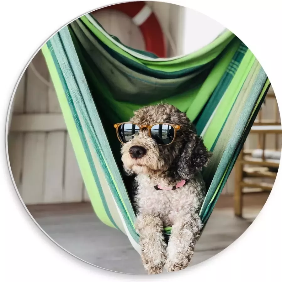 WallClassics PVC Schuimplaat Muurcirkel Liggende Hond in Hangmat met Zonnebril 30x30 cm Foto op Muurcirkel (met ophangsysteem)