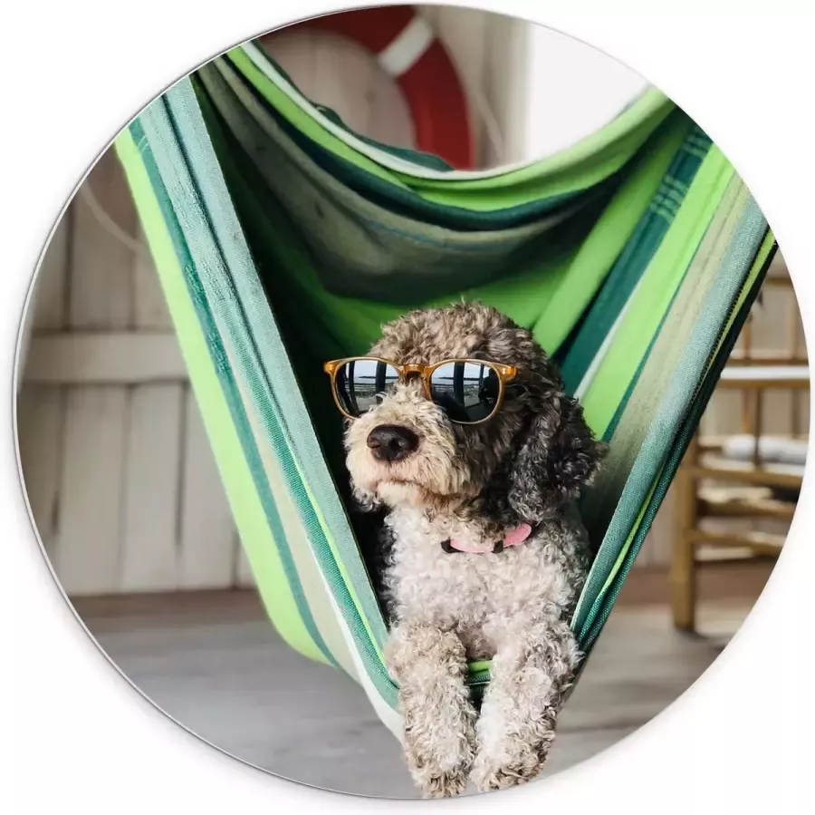 WallClassics PVC Schuimplaat Muurcirkel Liggende Hond in Hangmat met Zonnebril 70x70 cm Foto op Muurcirkel (met ophangsysteem)