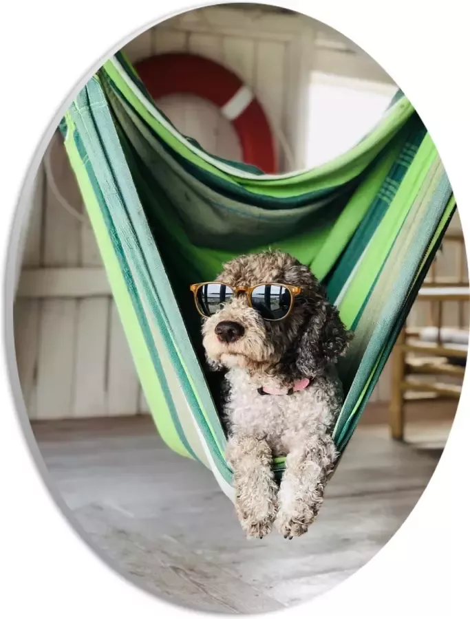 WallClassics PVC Schuimplaat Ovaal Liggende Hond in Hangmat met Zonnebril 21x28 cm Foto op Ovaal (Met Ophangsysteem)