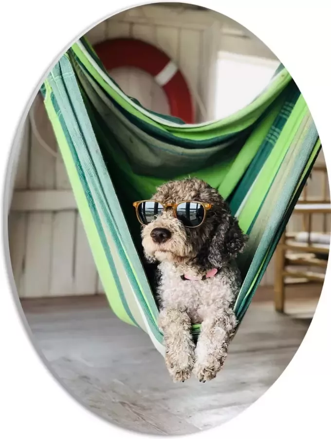 WallClassics PVC Schuimplaat Ovaal Liggende Hond in Hangmat met Zonnebril 30x40 cm Foto op Ovaal (Met Ophangsysteem)