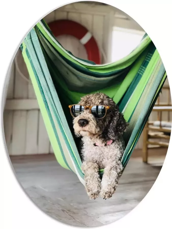 WallClassics PVC Schuimplaat Ovaal Liggende Hond in Hangmat met Zonnebril 51x68 cm Foto op Ovaal (Met Ophangsysteem)