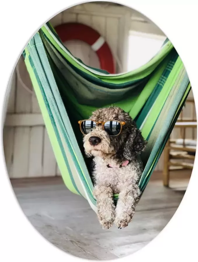 WallClassics PVC Schuimplaat Ovaal Liggende Hond in Hangmat met Zonnebril 60x80 cm Foto op Ovaal (Met Ophangsysteem)