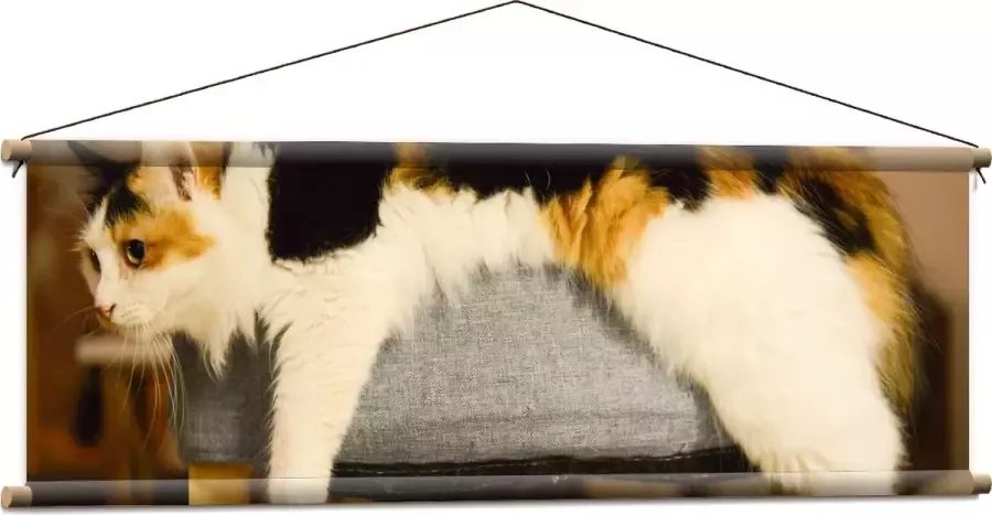 WallClassics Textielposter Bruin Zwart Gevlekte Kat uitgestrekt over Poef 120x40 cm Foto op Textiel