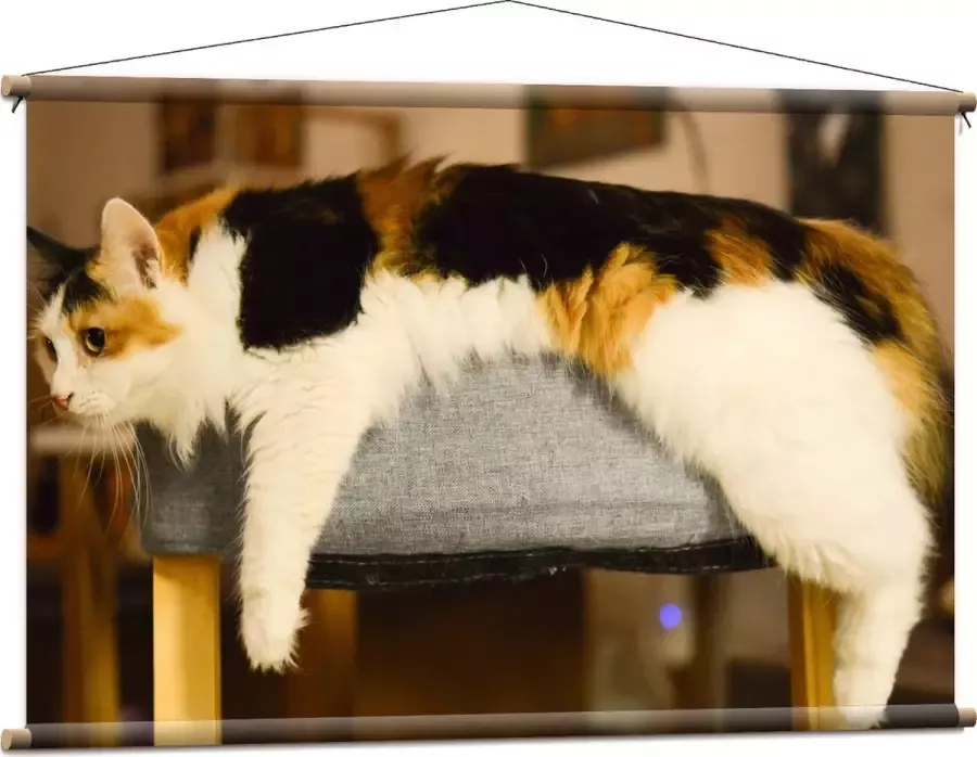 WallClassics Textielposter Bruin Zwart Gevlekte Kat uitgestrekt over Poef 120x80 cm Foto op Textiel