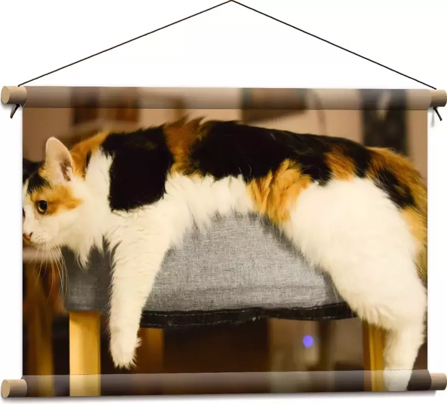 WallClassics Textielposter Bruin Zwart Gevlekte Kat uitgestrekt over Poef 60x40 cm Foto op Textiel