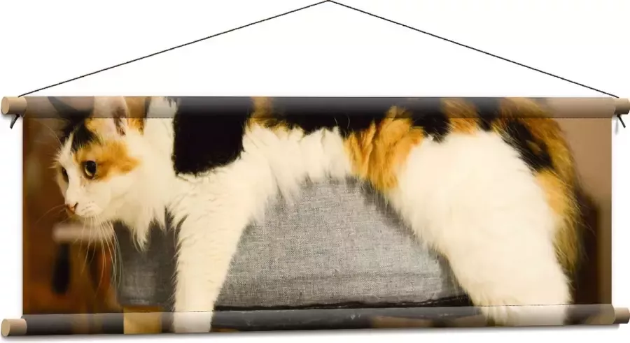 WallClassics Textielposter Bruin Zwart Gevlekte Kat uitgestrekt over Poef 90x30 cm Foto op Textiel