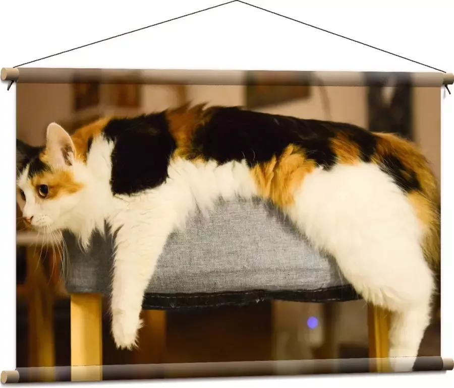 WallClassics Textielposter Bruin Zwart Gevlekte Kat uitgestrekt over Poef 90x60 cm Foto op Textiel