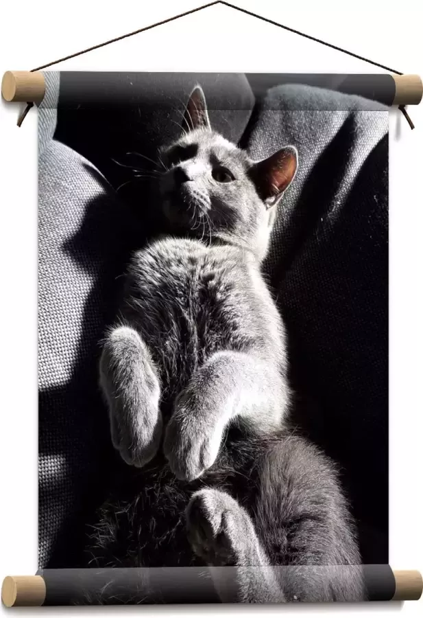 WallClassics Textielposter Grijze Luie Kat op de Bank 30x40 cm Foto op Textiel