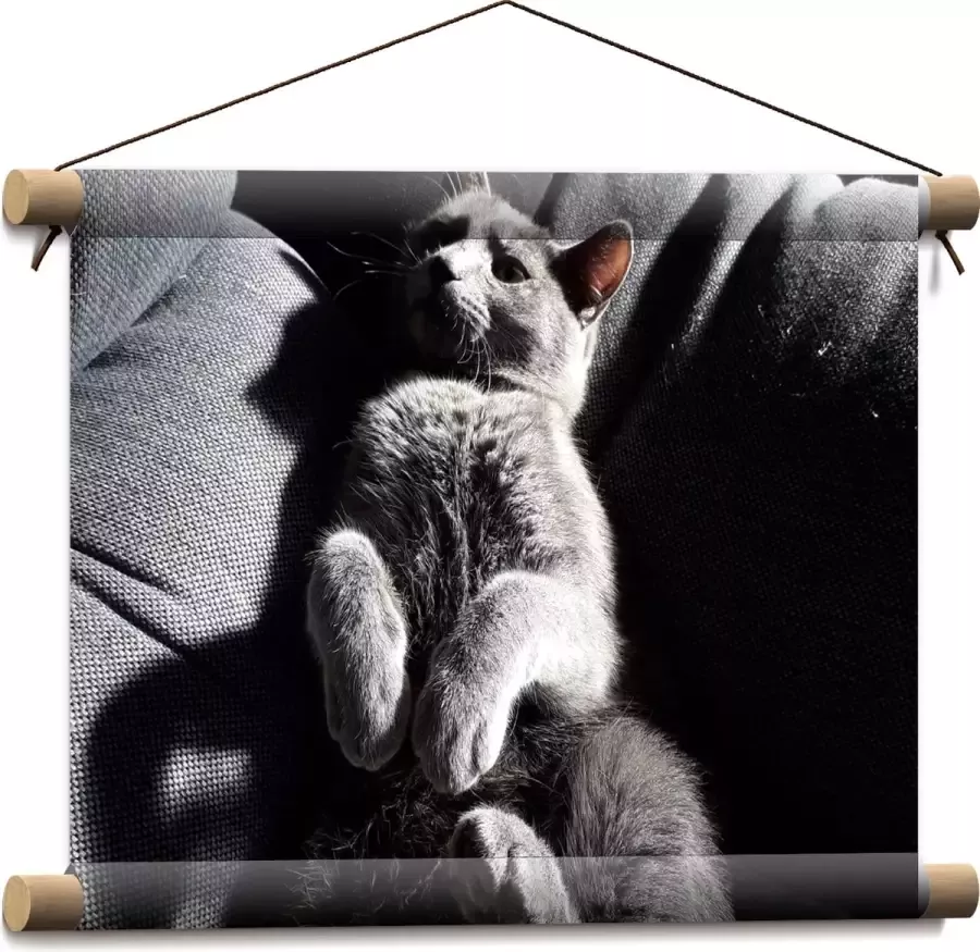 WallClassics Textielposter Grijze Luie Kat op de Bank 40x30 cm Foto op Textiel
