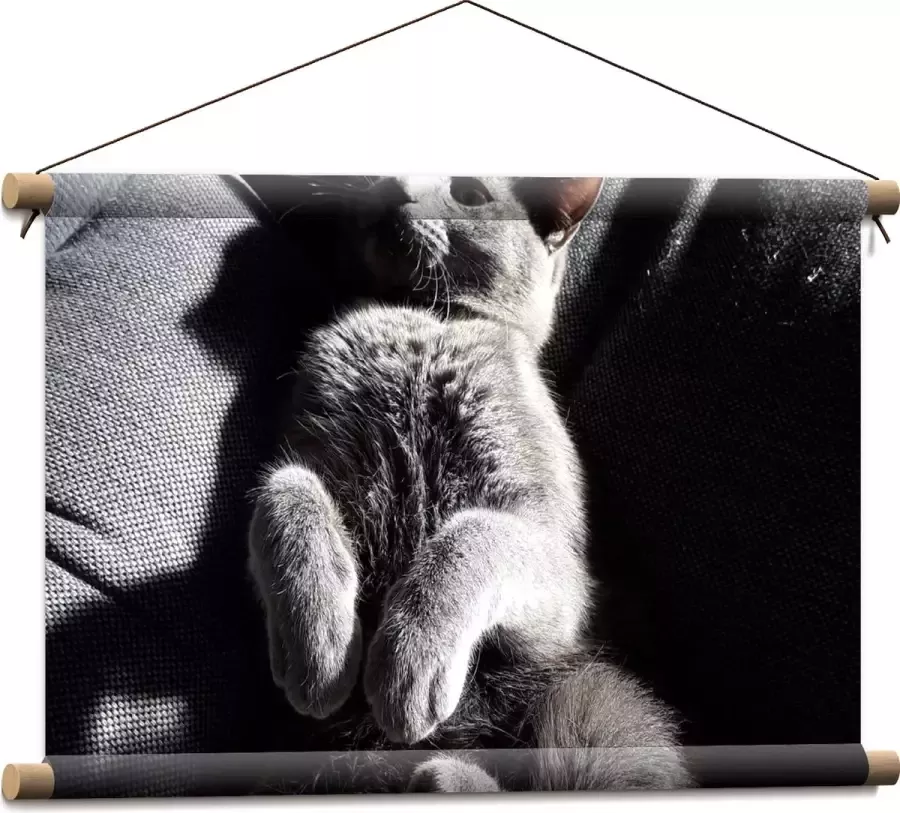 WallClassics Textielposter Grijze Luie Kat op de Bank 60x40 cm Foto op Textiel