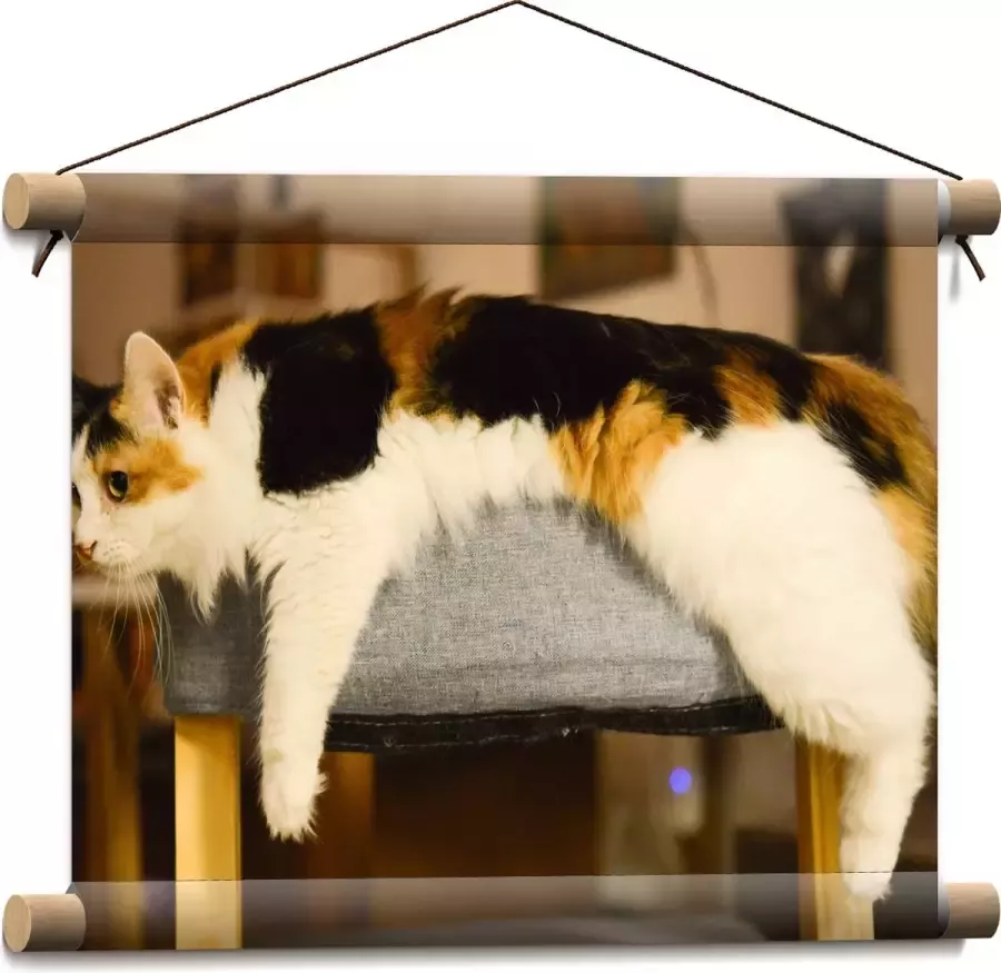 WallClassics Textielposter Luie Lapjeskat liggend op Poef 40x30 cm Foto op Textiel