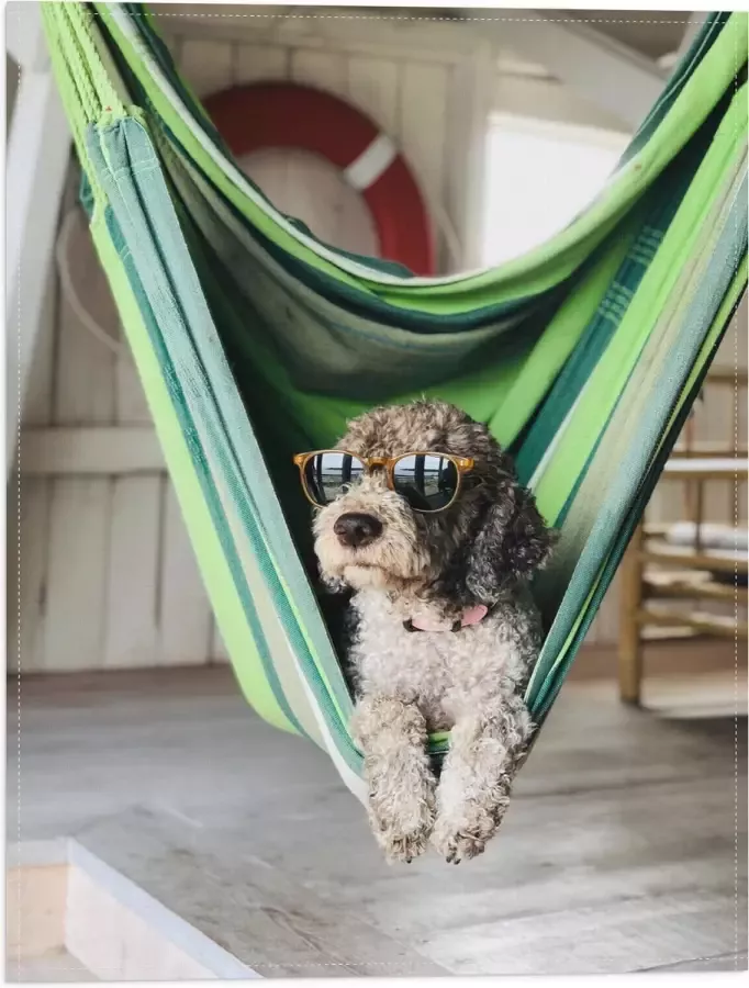 WallClassics Vlag Liggende Hond in Hangmat met Zonnebril 30x40 cm Foto op Polyester Vlag