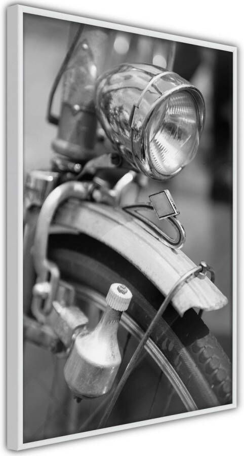 Wallmagic.eu Lamp and Dynamo