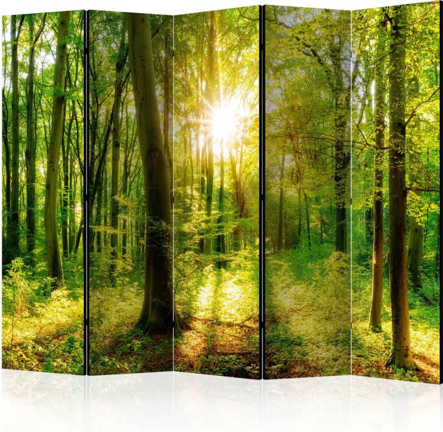 wallmagic.eu Vouwscherm Forest Rays II [Room Dividers]