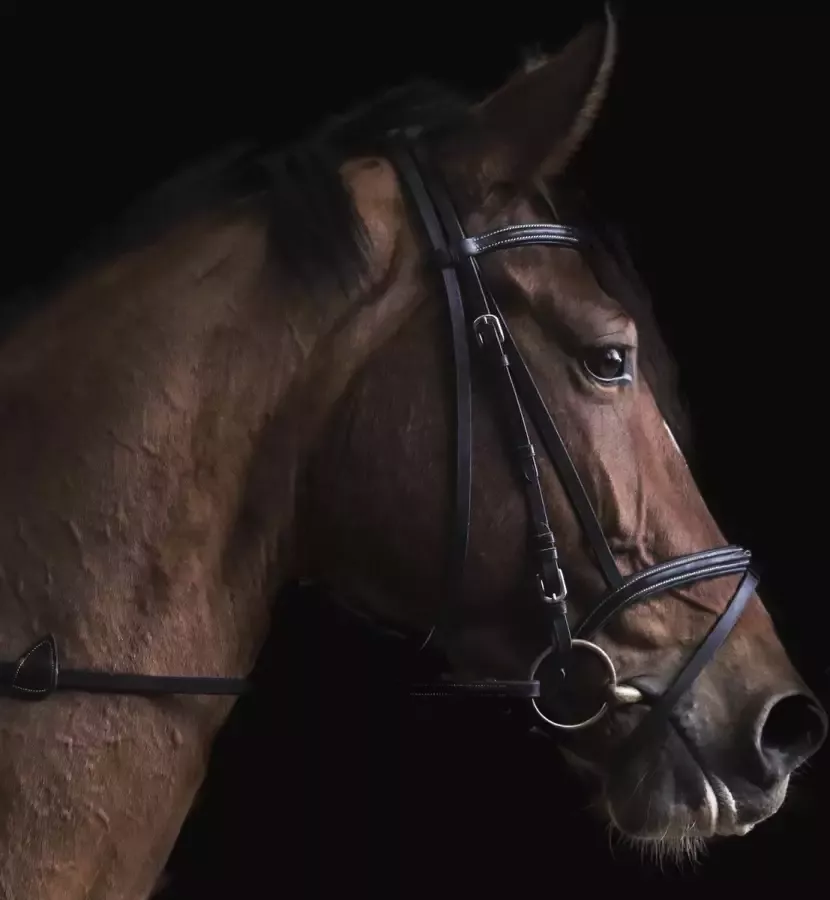 WANDKRAFT Schilderij paard Collectie at the farm Dibond wit 118x70cm - Foto 1