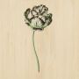 WANDKRAFT Schilderij bloem Collectie Botanical stories Hout met leren lussen 70x118cm - Thumbnail 2