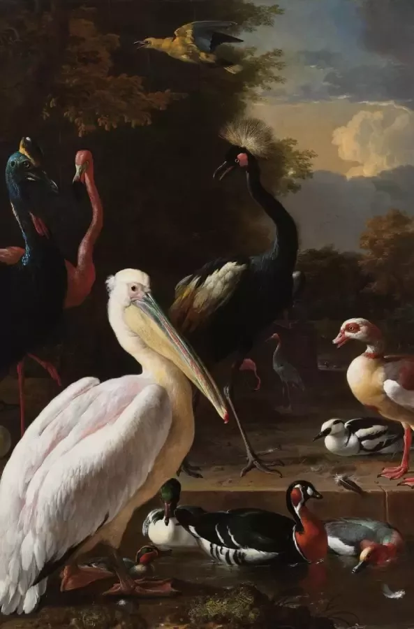 WANDKRAFT Schilderij pelikaan en ander gevogele Collectie dutch masters Dibond wit 98x148cm