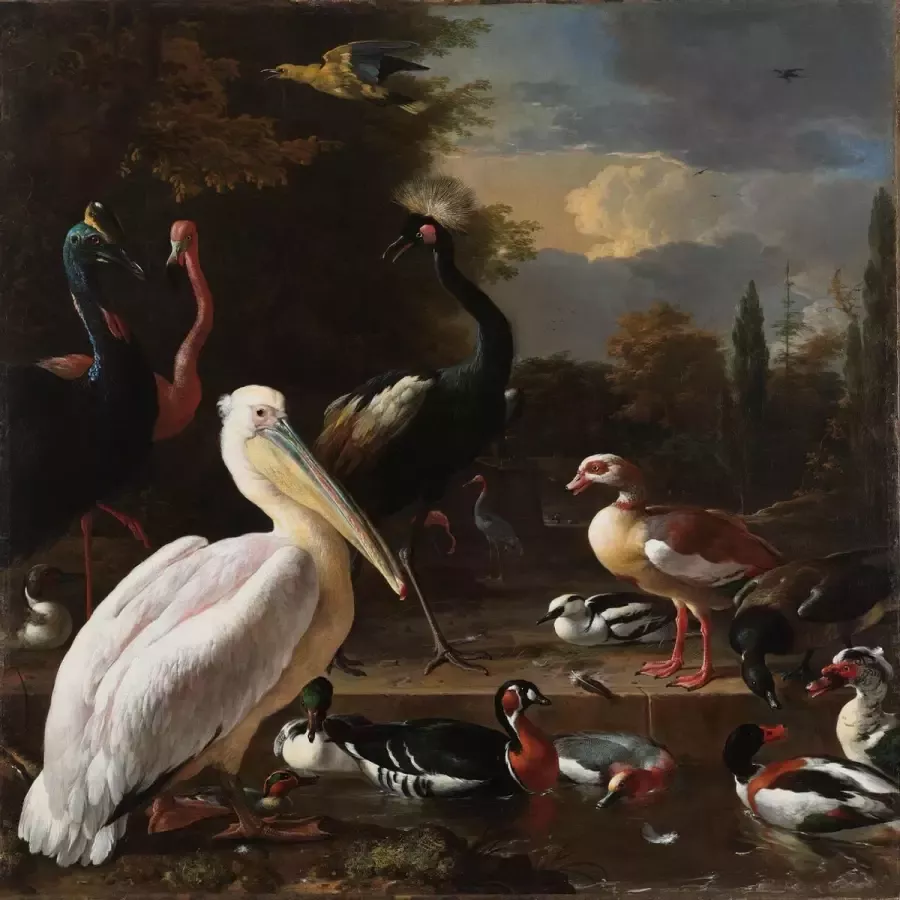 WANDKRAFT Schilderij pelikaan en ander gevogele Collectie dutch masters Dibond wit 70x118cm - Foto 1