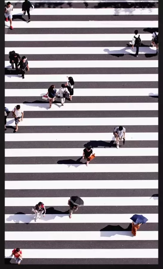 WANDKRAFT Schilderij zebrapad Collectie rhythm of the city Forex met zwarte lijst 98x148cm - Foto 2