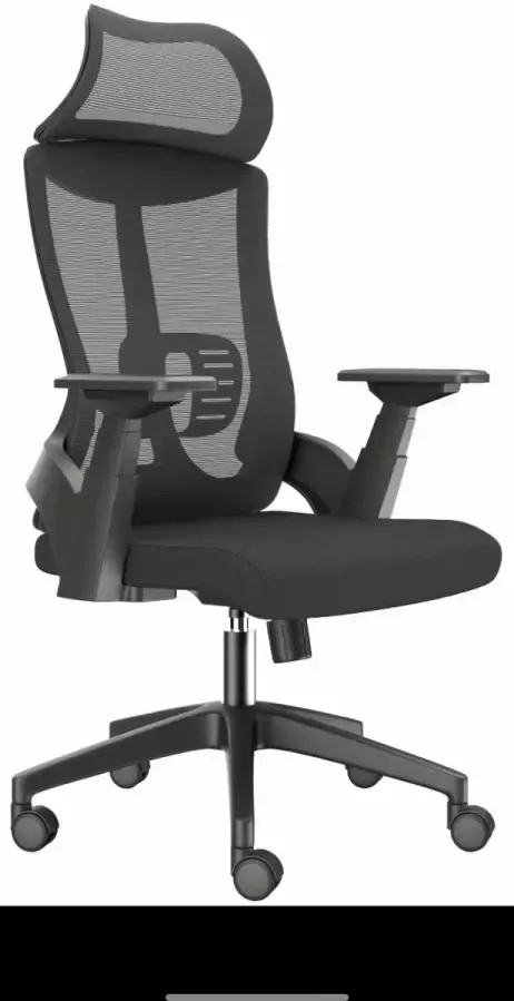 Wayne Design Bureaustoel Ergonomische Wayne Serie (H)