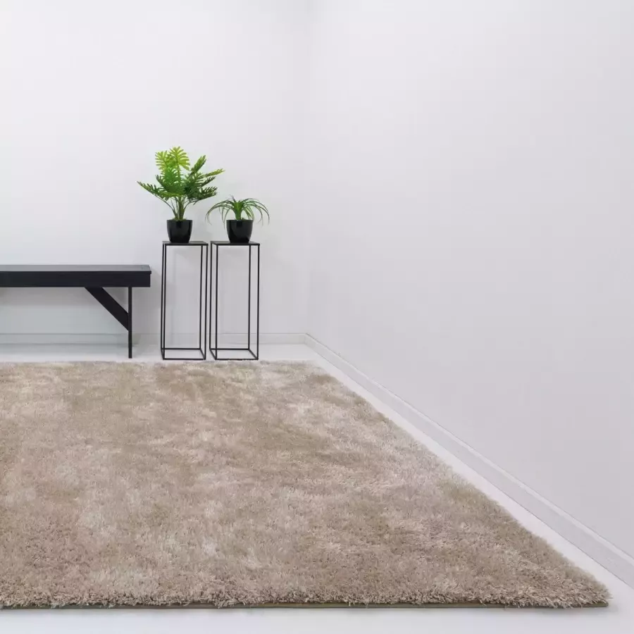Webkarpet Vloerkleed Xilento Twinkle Baileys 170 x 230 cm