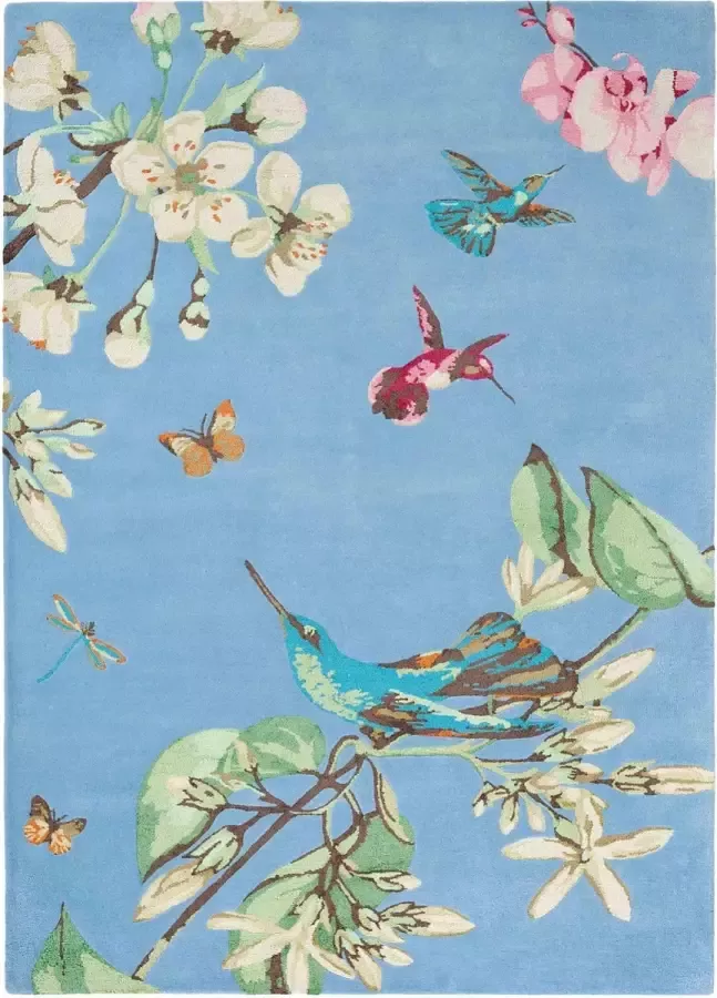 Wedgwood Hummingbird Blue 37808 Vloerkleed 250x350 Rechthoek Laagpolig Tapijt Klassiek Meerkleurig - Foto 2