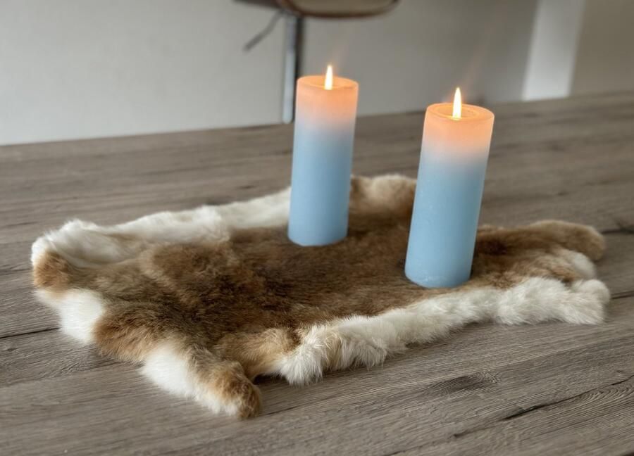 Wildlife Design SET VAN 5 beige konijnenvachtjes 5 vachtjes konijnenvel cognac velletje tafel dierenvel dierenhuid salontafel decoratie dierenvel deco - Foto 4