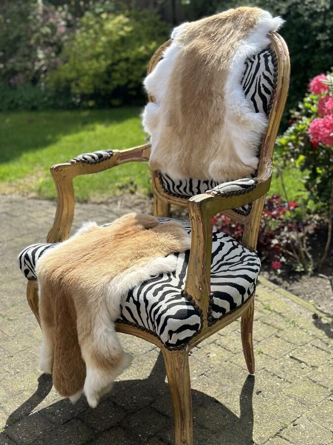 Wildlife Design SET VAN 3 XXL beige konijnenvachtjes 3 reuzen vachten konijnenvel lichtbruin velletje tafel cognac