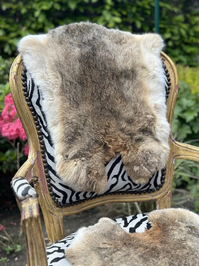 Schapenvachtkopen.nl koeienhuid goud gouden koeienhuid kleed dierenhuid dierenvel bruin koehuid koeienvel tapijt