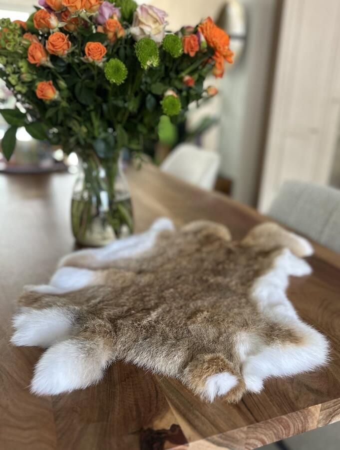 Wildlife Design XL beige konijnenvacht XL konijnenvel lichtbruin groot velletje tafel dierenvel dierenhuid salontafel decoratie vachtje