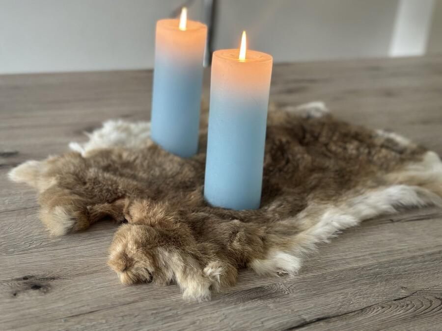 Wildlife Design XL bruine konijnenvacht XL konijnenvel wildkleur lichtbruin groot velletje tafel dierenvel dierenhuid salontafel decoratie vachtje - Foto 3