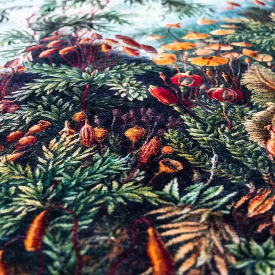 Wolff Blitz Interior Ernst Haeckel Vloerkleed 180 cm Rond Hoogpolig Tapijt Moss Jungle Design Kunst Duurzaam