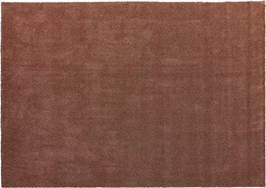 Woonexpress Vloerkleed 160x230 Kay Bruin Polyester Bruin 0x160x230cm (HxBxD)