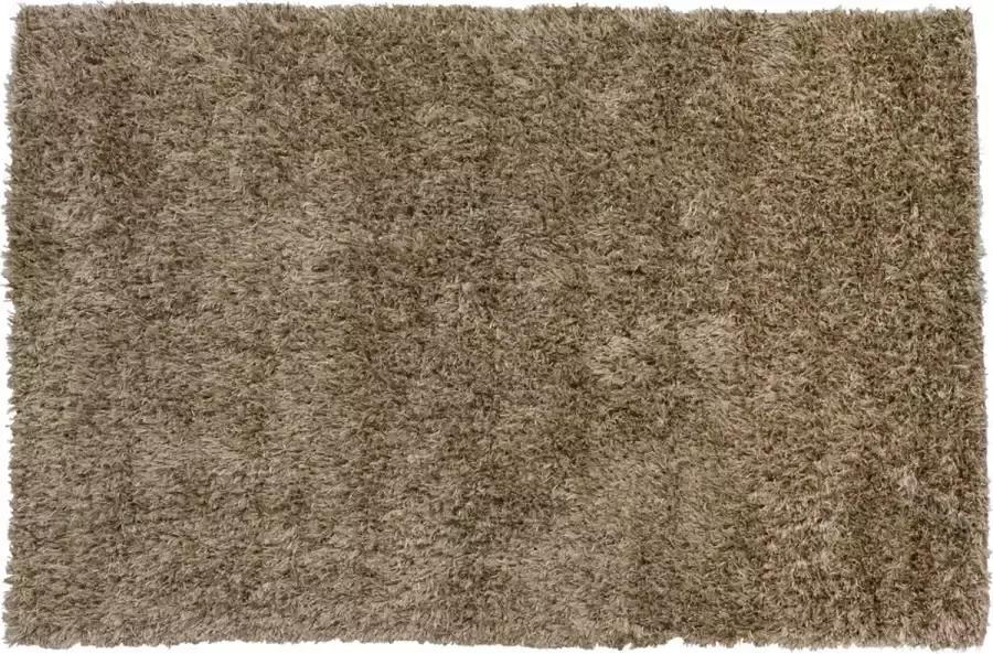 Woonexpress Vloerkleed 190x290 Bodhi Polyester katoen Bruin 290 x 0 x 190 cm (BxHxD)