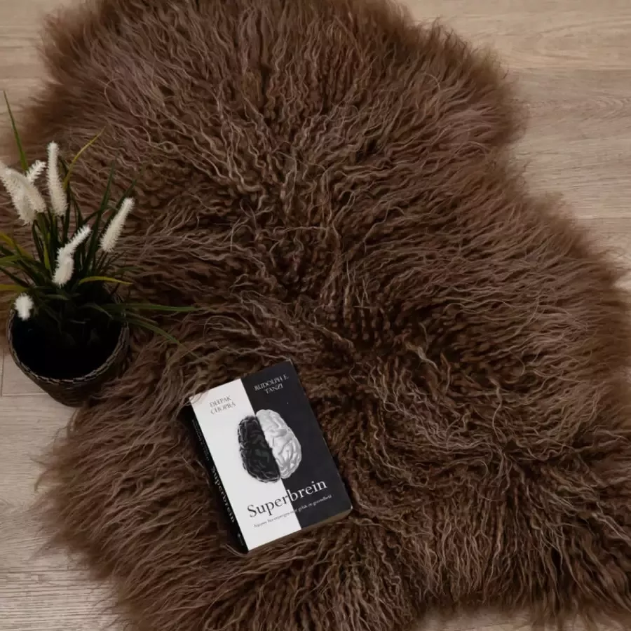 WOOOL IJslandse Schapenvacht Bruin CURLY XS (80x45cm) 100% Natuurlijk & Echt Vloerkleed ECO+