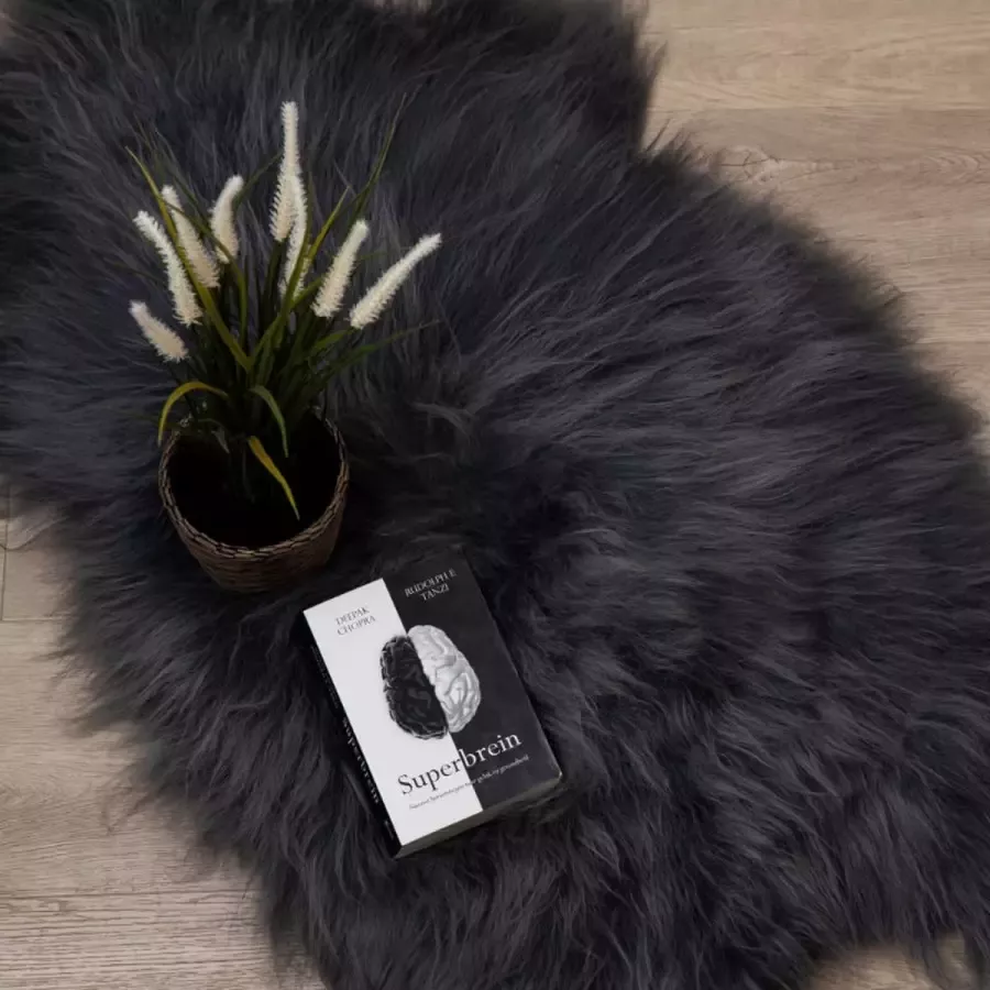 WOOOL IJslandse Schapenvacht Donker Grijs XL (115x65cm) 100% Natuurlijk & Echt Vloerkleed ECO+