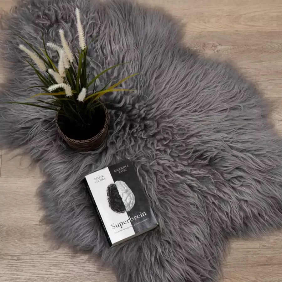 WOOOL IJslandse Schapenvacht Grijs CURLY S (90x50cm) 100% Natuurlijk & Echt Vloerkleed ECO+