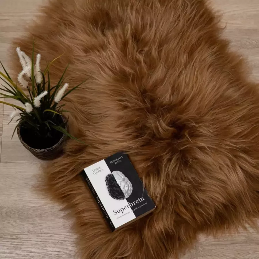 WOOOL IJslandse Schapenvacht Rood Bruin M (100x55cm) 100% Natuurlijk & Echt Vloerkleed ECO+