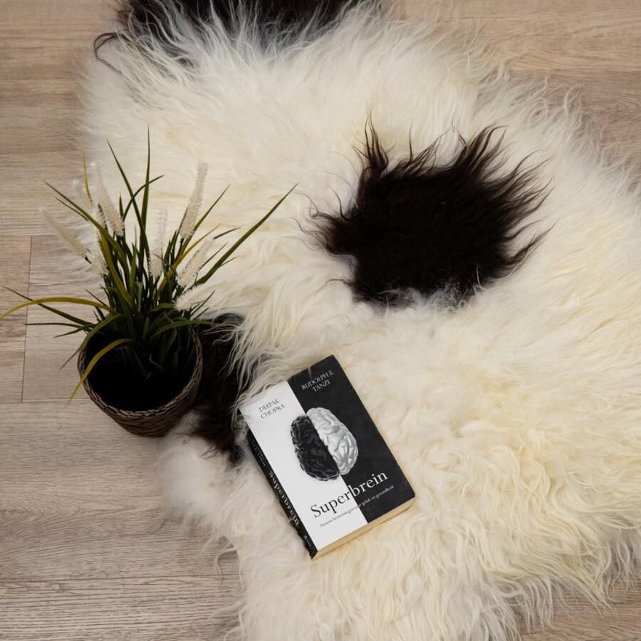 WOOOL Schapenvacht Premium IJslands Spots M (100x55cm) 100% Echte Schapenvachten ECO+ Dierenvel