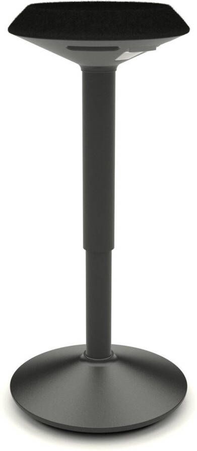 Worktrainer Wobble Verstelbare zit-sta kruk