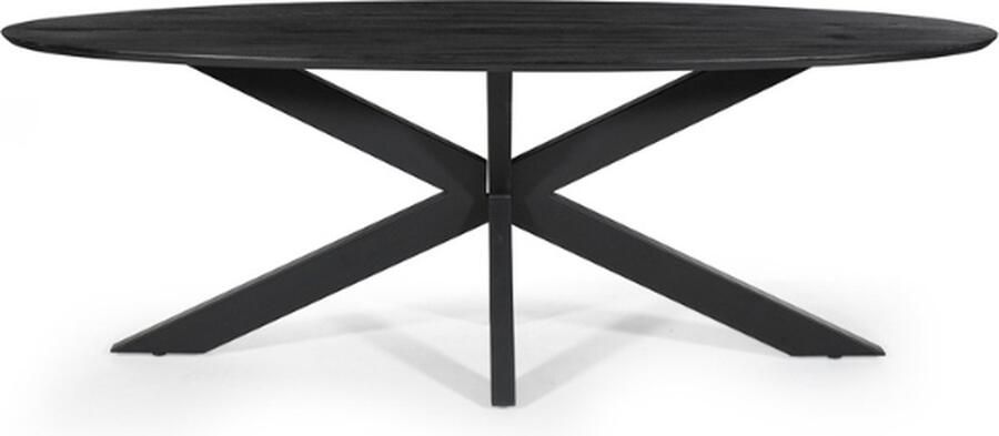 Rousseau Tafel 'Tommy' 220x100 cm Ovaal Spider-Poot Mango Hout Zwart - Foto 3
