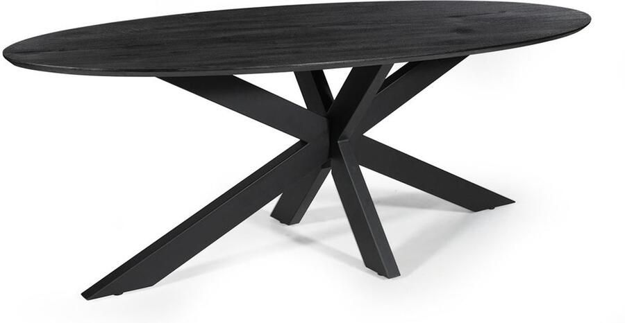 Rousseau Tafel 'Tommy' 220x100 cm Ovaal Spider-Poot Mango Hout Zwart - Foto 2