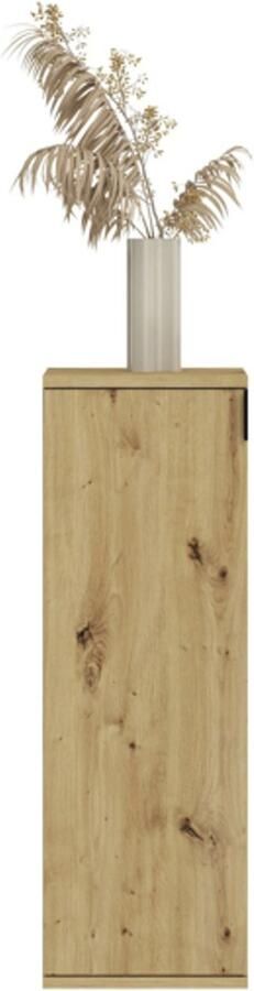 Hioshop ProjektX kommode 1 deur eiken decor