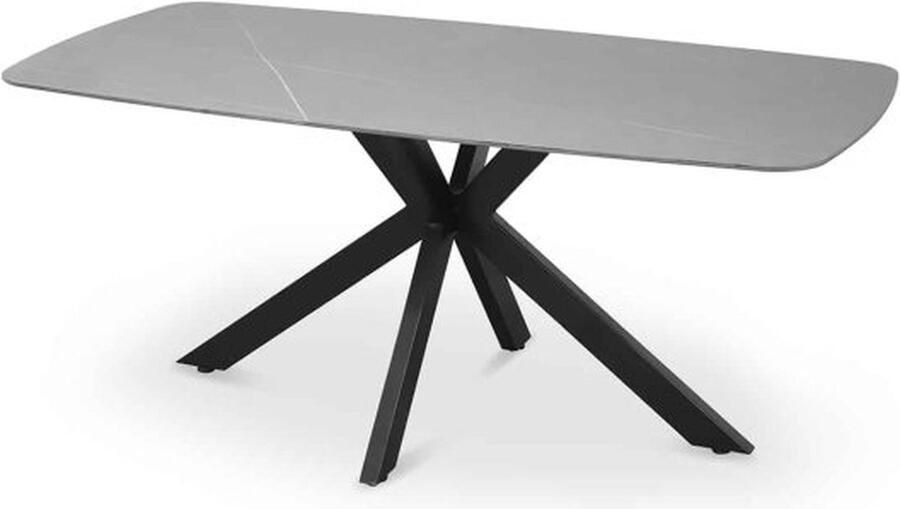 ZAZA Home Eettafel 'Apollo' 180 cm Deens Ovaal Steen Grijs Structuur metaal blad steen Top 10 mm