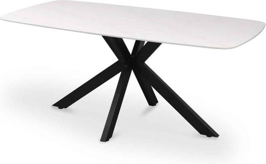 ZAZA Home Eettafel 'Apollo' 180 cm Deens Ovaal Steen Wit Structuur metaal blad steen Top 10 mm