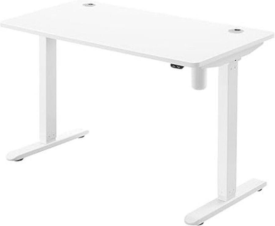 ZAZA Home Elektrisch bureau in hoogte verstelbaar bureaustraam bureauetafel met motor 120 x 60 x (73-114) cm staal Wit